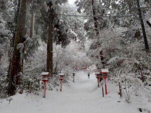 葛木神社への赤い灯篭